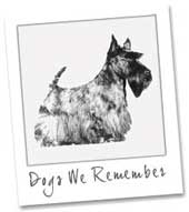 Dogs We Remember