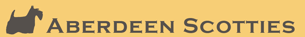 Aberdeen Scotties banner