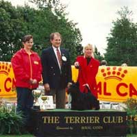 Judging in Auckland - November 1996