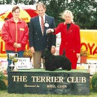 Judging in Auckland - November 1996