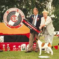 Judging in Christchurch - November 1996
