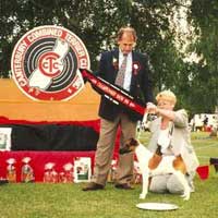Judging in Christchurch - November 1996