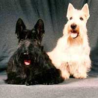 Molly & JJ